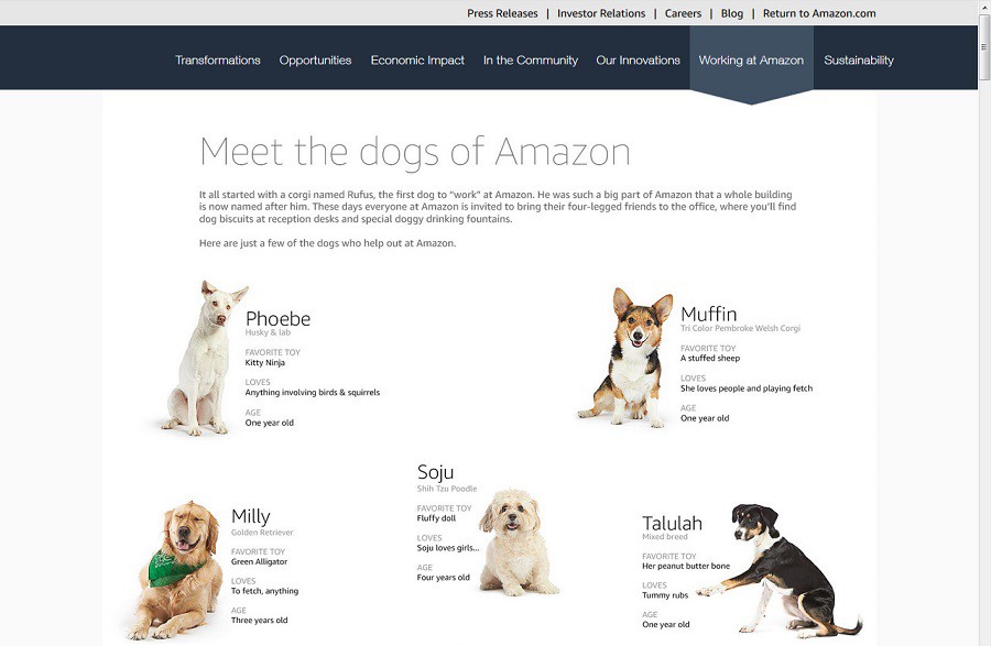 Собаки Amazon