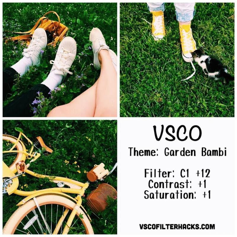 11 Garden Bambi Instagram Feed - VSCO Filter C1