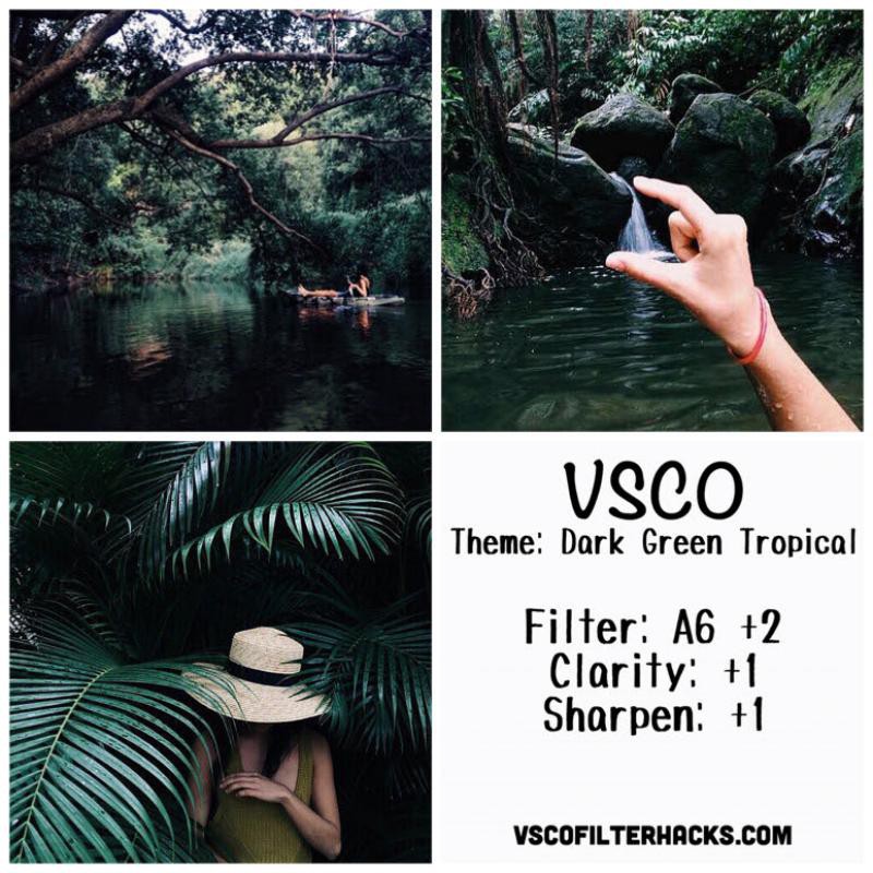 8 Dark Green Tropical Instagram Feed - VSCO Filter A6
